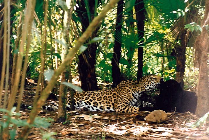 Zoo